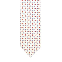 Azthom Paisley Printed Silk Tie