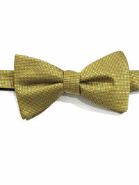 OroBow Gold with gold and white Square
